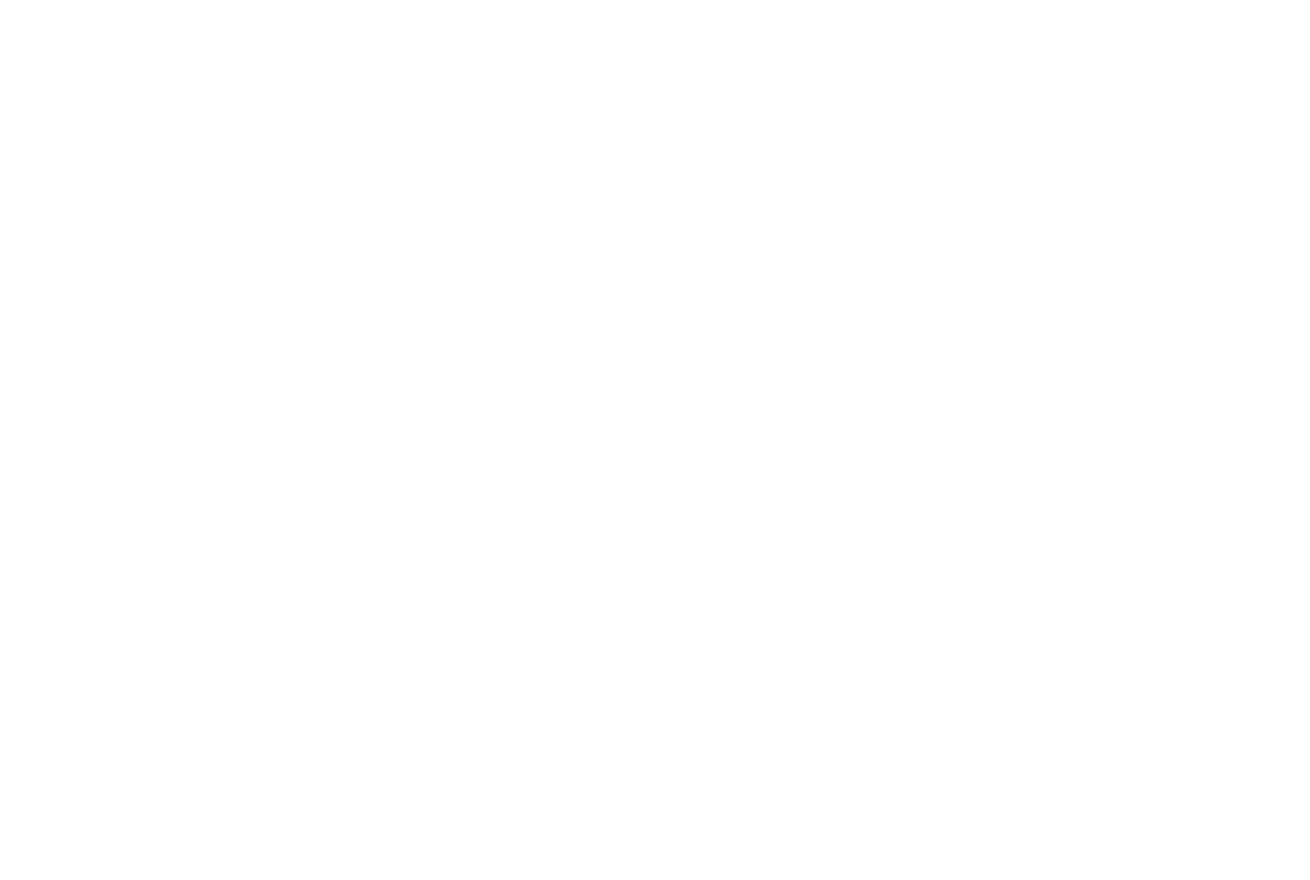 vision-2030
